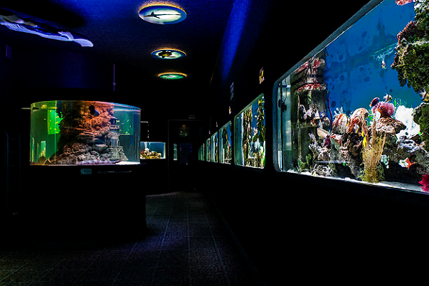 Океанариум AQUALAR (2014 год)
